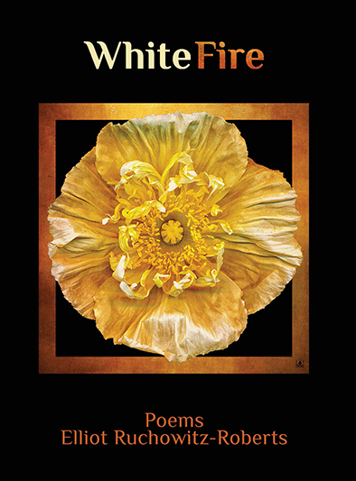 Cover of White Fire